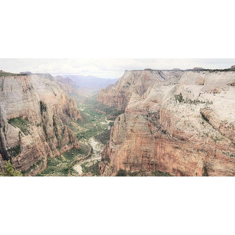 Zion National Park White Modern Wood Framed Art Print by Deiter, Lori