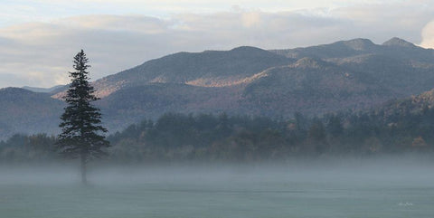 Adirondack Misty Morning Black Ornate Wood Framed Art Print with Double Matting by Deiter, Lori