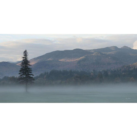 Adirondack Misty Morning White Modern Wood Framed Art Print by Deiter, Lori