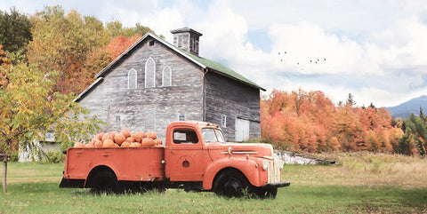 Pumpkin Patch White Modern Wood Framed Art Print with Double Matting by Deiter, Lori