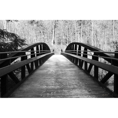 Wiconisco Creek Bridge Black Modern Wood Framed Art Print with Double Matting by Deiter, Lori