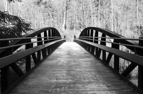 Wiconisco Creek Bridge Black Ornate Wood Framed Art Print with Double Matting by Deiter, Lori