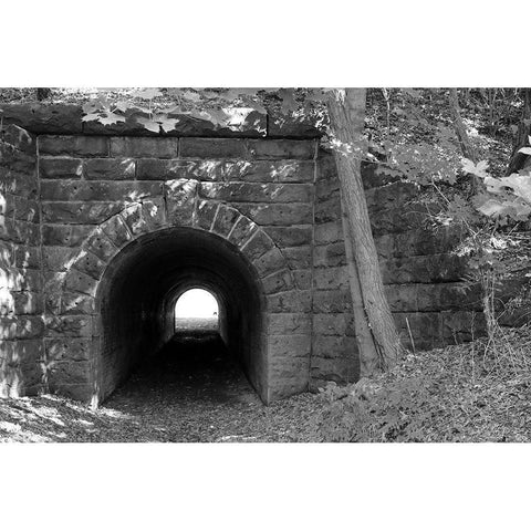 Juniata Tunnel Black Modern Wood Framed Art Print with Double Matting by Deiter, Lori