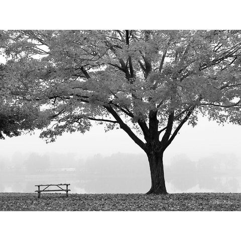 The Empty Table White Modern Wood Framed Art Print by Deiter, Lori