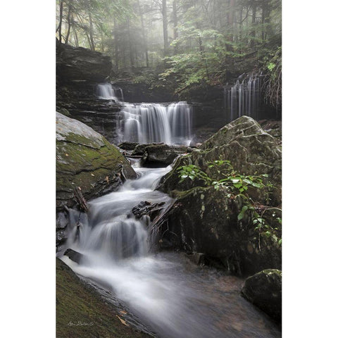 Ricketts Waterfall White Modern Wood Framed Art Print by Deiter, Lori