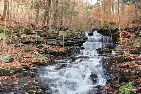 Waterfall Steps at Pigeon Run Black Ornate Wood Framed Art Print with Double Matting by Deiter, Lori