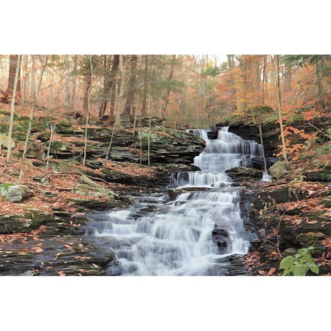 Waterfall Steps at Pigeon Run White Modern Wood Framed Art Print by Deiter, Lori