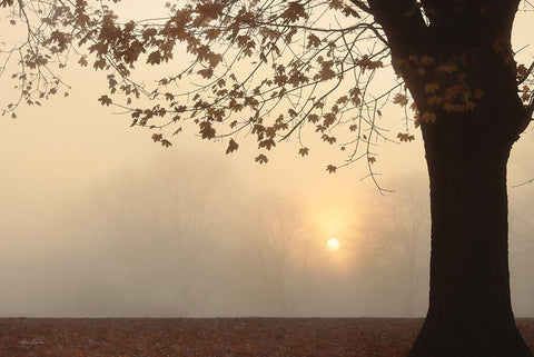 Foggy Morning Sunrise White Modern Wood Framed Art Print with Double Matting by Deiter, Lori