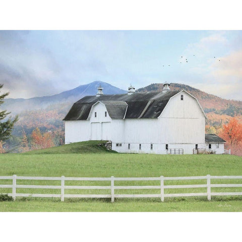 Adirondack Farm Black Modern Wood Framed Art Print with Double Matting by Deiter, Lori