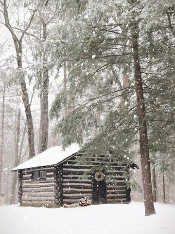 Cabin Fever White Modern Wood Framed Art Print with Double Matting by Deiter, Lori