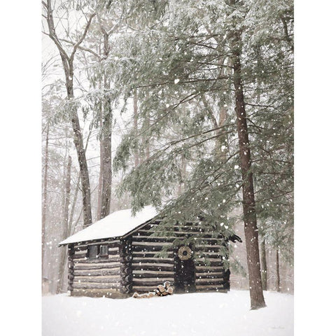 Cabin Fever White Modern Wood Framed Art Print by Deiter, Lori