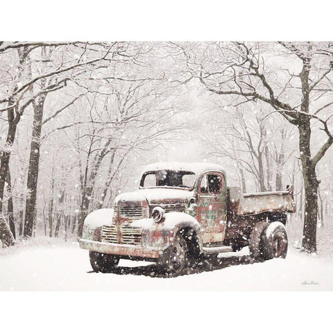 Christmas Tree Truck Black Modern Wood Framed Art Print with Double Matting by Deiter, Lori