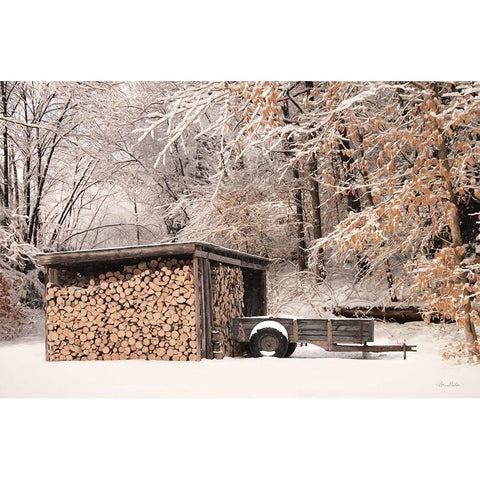 Firewood Shed    White Modern Wood Framed Art Print by Deiter, Lori