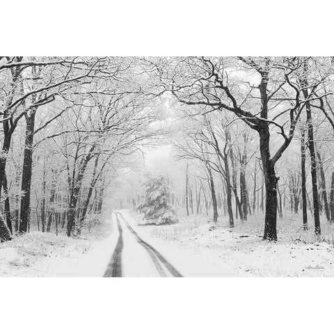 Wintry Road    White Modern Wood Framed Art Print by Deiter, Lori