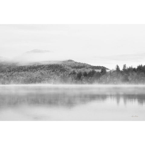 Foggy View Black Modern Wood Framed Art Print with Double Matting by Deiter, Lori