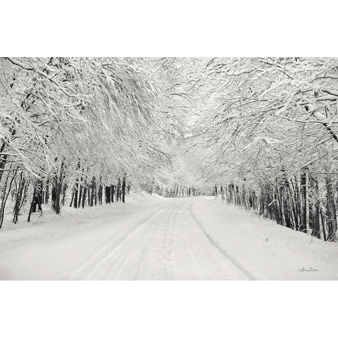 Snowbound White Modern Wood Framed Art Print by Deiter, Lori