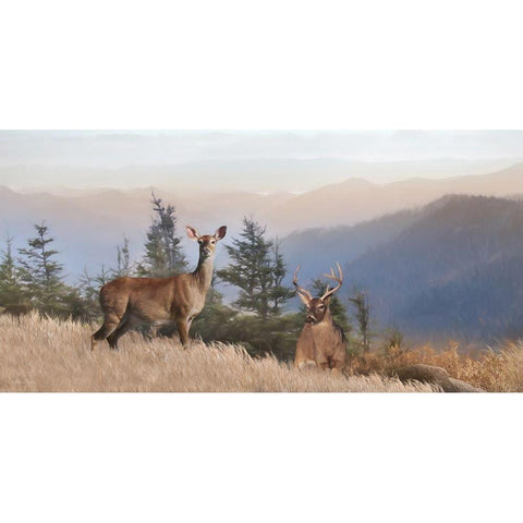 Cascade Mountain Deer Black Modern Wood Framed Art Print with Double Matting by Deiter, Lori