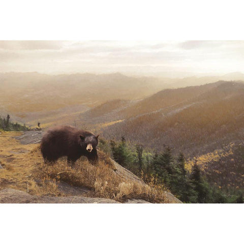 Bear Country Black Modern Wood Framed Art Print with Double Matting by Deiter, Lori