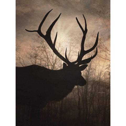 Elk Sunrise I Black Modern Wood Framed Art Print with Double Matting by Deiter, Lori