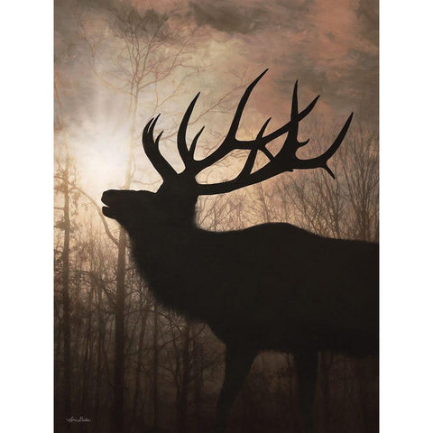 Elk Sunrise II Black Modern Wood Framed Art Print with Double Matting by Deiter, Lori