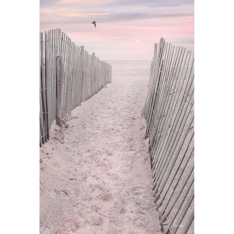 Pink Beach Sunrise White Modern Wood Framed Art Print by Deiter, Lori