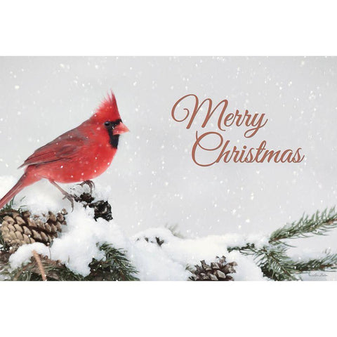 Merry Christmas Cardinal White Modern Wood Framed Art Print by Deiter, Lori