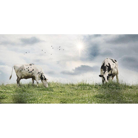 Grazing Dairy Cattle Black Modern Wood Framed Art Print with Double Matting by Deiter, Lori