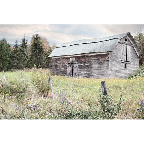 Rustic Country Barn Gold Ornate Wood Framed Art Print with Double Matting by Deiter, Lori