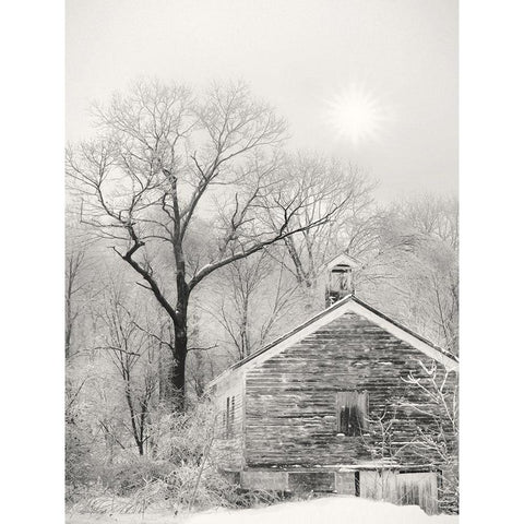 Deserted Schoolhouse White Modern Wood Framed Art Print by Deiter, Lori