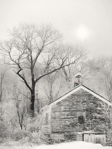 Deserted Schoolhouse White Modern Wood Framed Art Print with Double Matting by Deiter, Lori