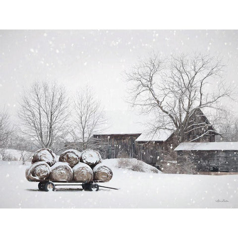 Winter Food Black Modern Wood Framed Art Print with Double Matting by Deiter, Lori