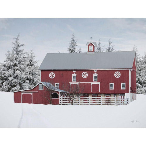 Red Barn in the Pines Black Modern Wood Framed Art Print with Double Matting by Deiter, Lori