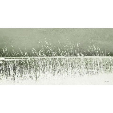 Beach Grass White Modern Wood Framed Art Print by Deiter, Lori