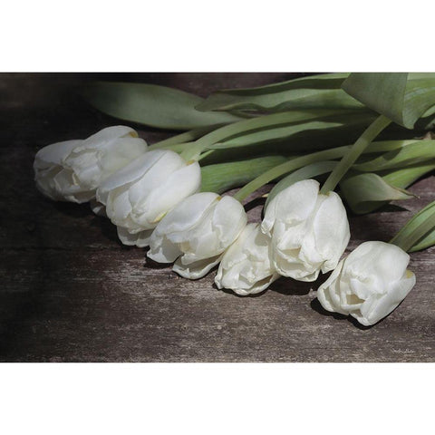 Gathered Tulips White Modern Wood Framed Art Print by Deiter, Lori