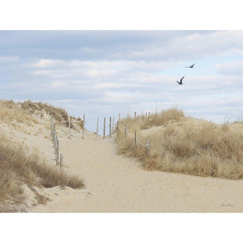 Fenwick Island White Modern Wood Framed Art Print by Deiter, Lori