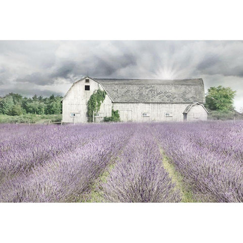 Shades of Lavender and Gray Black Modern Wood Framed Art Print with Double Matting by Deiter, Lori