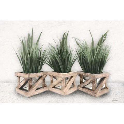 Planter Trio Black Modern Wood Framed Art Print with Double Matting by Deiter, Lori