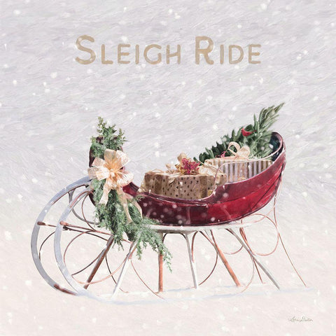 Sleigh Ride I Black Modern Wood Framed Art Print with Double Matting by Deiter, Lori