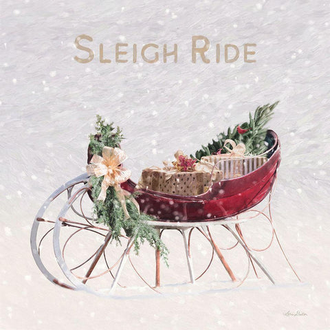 Sleigh Ride I White Modern Wood Framed Art Print with Double Matting by Deiter, Lori