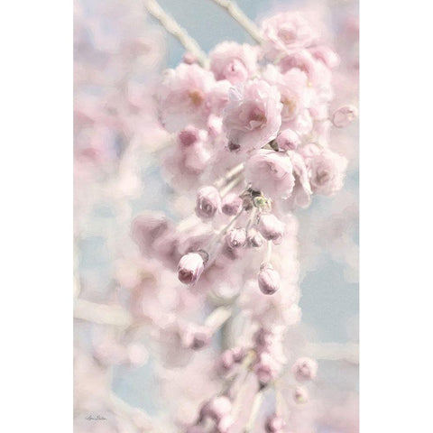 Weeping Cherry White Modern Wood Framed Art Print by Deiter, Lori