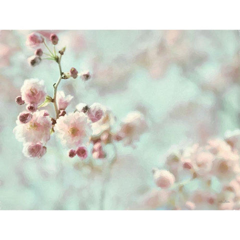 Pastel Weeping Cherry Blossom I Black Modern Wood Framed Art Print with Double Matting by Deiter, Lori