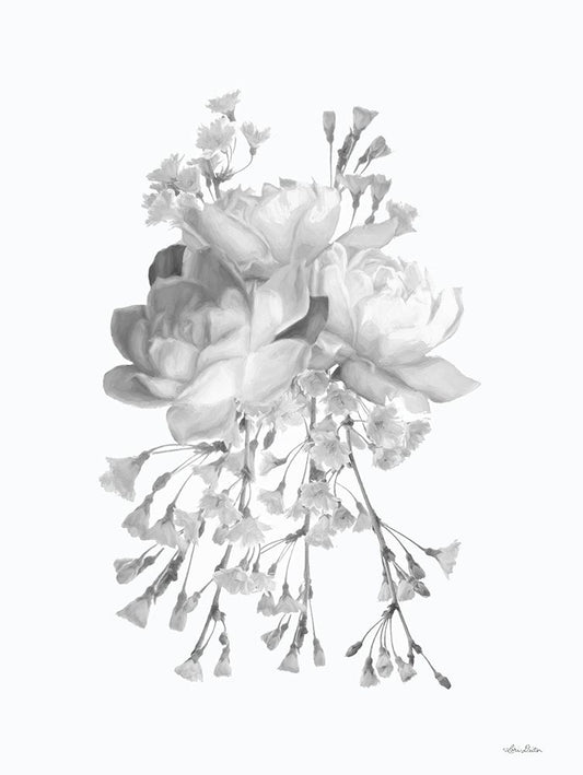 Image Only
