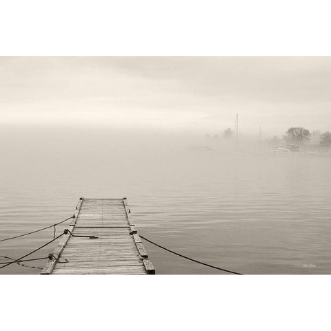 Foggy Dock White Modern Wood Framed Art Print by Deiter, Lori