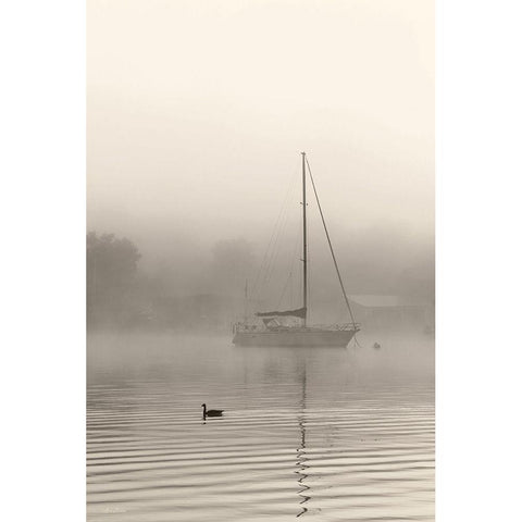 Foggy Bay Black Modern Wood Framed Art Print with Double Matting by Deiter, Lori