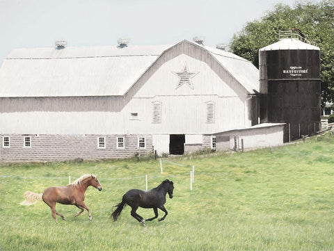 Afternoon Run on the Farm Black Ornate Wood Framed Art Print with Double Matting by Deiter, Lori