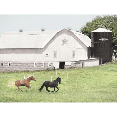 Afternoon Run on the Farm White Modern Wood Framed Art Print by Deiter, Lori