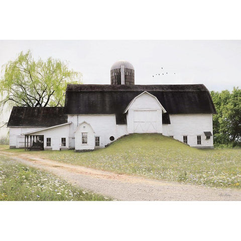 Big Country Barn White Modern Wood Framed Art Print by Deiter, Lori