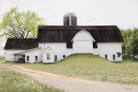 Big Country Barn Black Ornate Wood Framed Art Print with Double Matting by Deiter, Lori