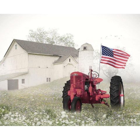 Old Glory at the Barn Gold Ornate Wood Framed Art Print with Double Matting by Deiter, Lori