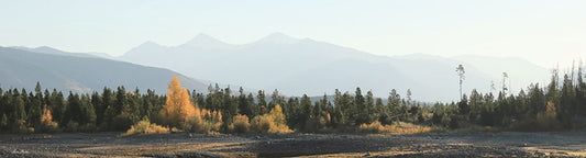 Image Only